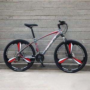 2024 Wholesale 21-Pace 29-Inch Mountain Bike – MTB Mountain Bicycles