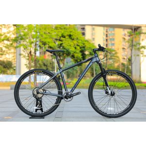 Reasonably priced 29-Inch 10-Velocity MTB – New Mountain Bike Cycle