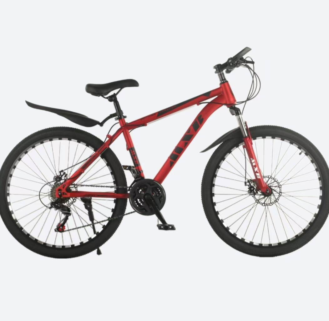 Reasonably priced Mountain Bike MTB – Adjustable Sizes 24 and 26 Inches