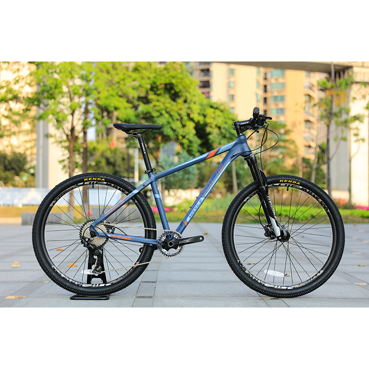 Reasonably priced 29-Inch 10-Velocity MTB - New Mountain Bike Cycle