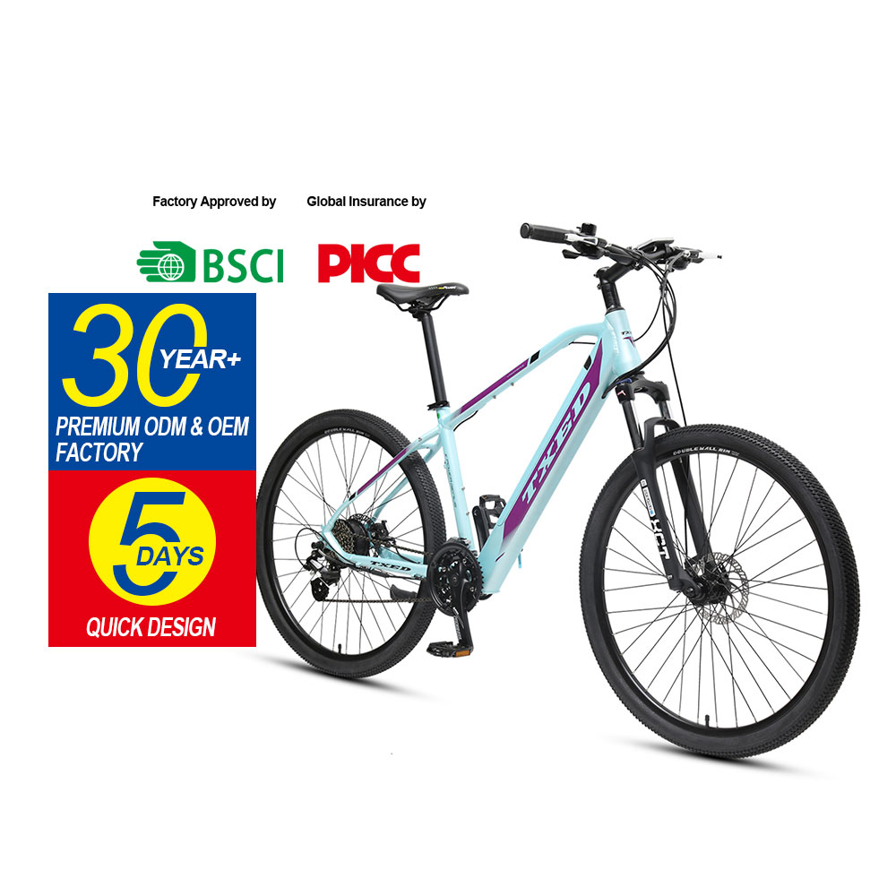 TXED 29-Inch Electrical Mountain Bike – Bicycle Provider