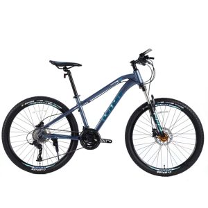 Wholesale 29-Inch MTB Mountain Bicycle – Manufacturing facility 29 Mannequin